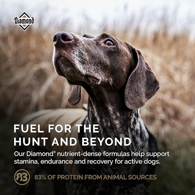 Diamond Performance All Life Stages Dry Dog Food 30/20 for Highly Active, Hard Working & Athletic Dogs 40lb Bag