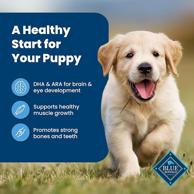Blue Buffalo Life Protection Formula Puppy Dry Dog Food with DHA and ARA, Made with Natural Ingredients, Chicken & Brown Rice Recipe, 30-lb Bag