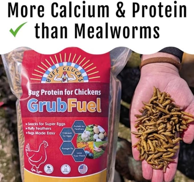 Buff Clucks Grub Fuel Black Soldier Fly Larvae for Chickens - Nutrient Packed BSFL, Sustainably Sourced Snack for Poultry, Rich in Protein, Calcium, Fiber, Essential Fatty Acids, USA Grown (5LB)