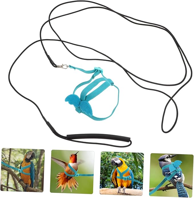 balacoo 2pcs Portable Parrot Wear-Resistant Bird Leash for Outdoor Flying and Training for Parrots Parakeets Chickens Bird Accessory for Safe Adventures