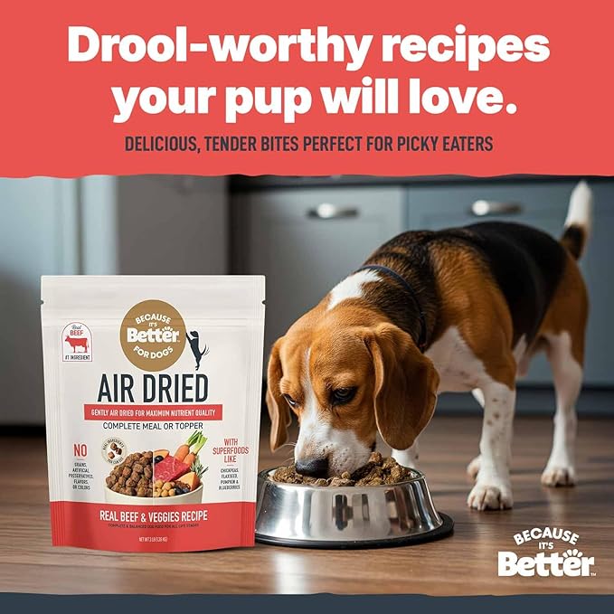 Because It’s Better Slow Baked & Air Dried Dog Food - Real Beef & Veggies - Complete & Balanced Dry Dog Food - Grain Free, High Protein, Natural Nutrition for All Life Stages, 3 lb Bag