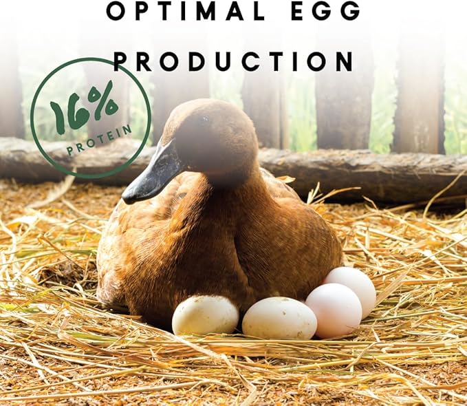 Manna Pro Duck & Goose Layer Pellets, High Protein for Increased Egg Production, Formulated with Probiotics to Supports Gut Health & Digestion, 8 lbs