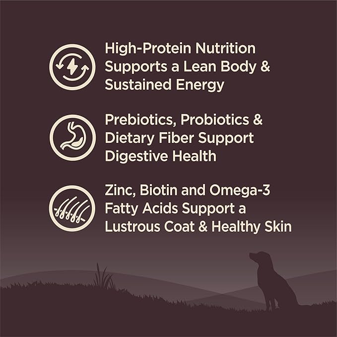 Wellness CORE Adult Dry Dog Food, Grain Free Kibble, Natural, High Protein, Turkey and Chicken Recipe, 26 lb Bag