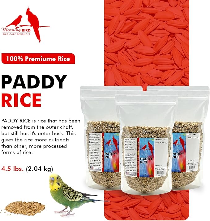 Morning Bird Paddy Rice 4.5 lbs (3-Pack, 1.5 lbs Each) Bird Seed – Nutritious Food with Natural Vitamins & Minerals – High Fiber – Supports Feather Health & Immunity – Ideal for Seed-Eating Birds