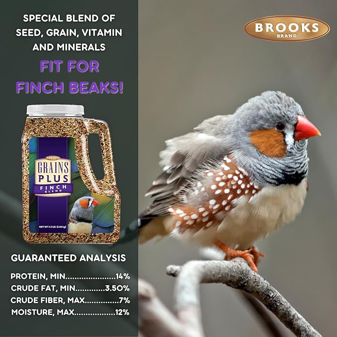 Brooks Brand Grains Plus Finch Blend Bird Food, Nyjer Seeds, Finches Bird Seed Mix, Gold Finch Niger Seeds for Birds, Finches Food for Indoor Birds (4.5 lbs)