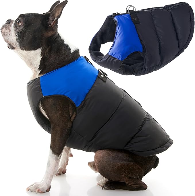 Gooby Padded Vest Dog Jacket - Blue, Small - Warm Zip Up Vest Fleece Jacket with Dual D Ring Leash Water Resistant for Small to Medium Dogs