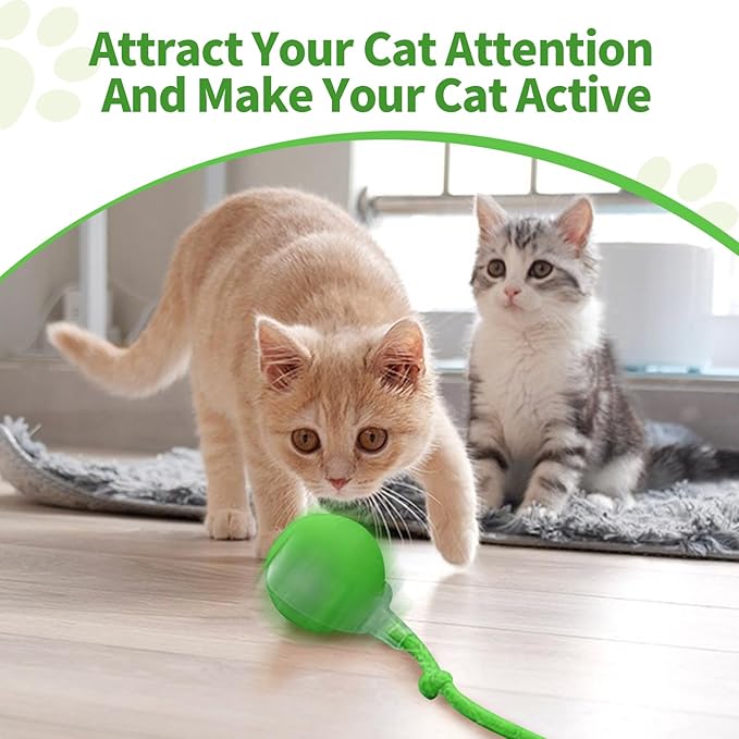 2pcs Smart Interactive Pet Toy Ball, Self Rolling Dog Ball Interactive Cat Toys, 360° Smart Automatic Rolling Ball Toy for Dogs Cats Indoor Outdoor Play (Red&Green)