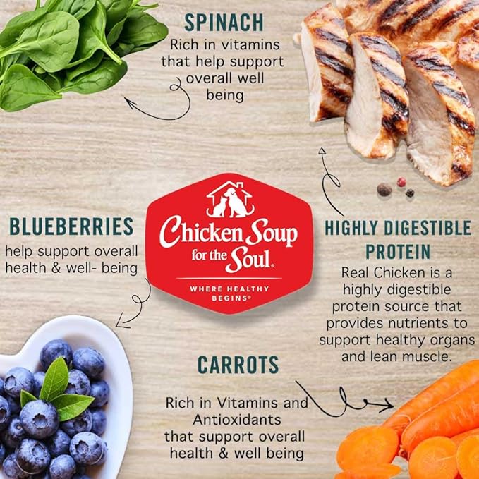 Chicken Soup for The Soul All Natural Premium Adult Wet Dog Food, Real Meat First Ingredient, No by-Products, Chicken, Brown Rice & Vegetables Cuts in Gravy, 13oz (Pack of 12)