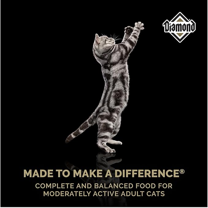 Diamond Maintenance Cat Dry Food 30/15 for Moderately Active Adult Cats 6lb Bag