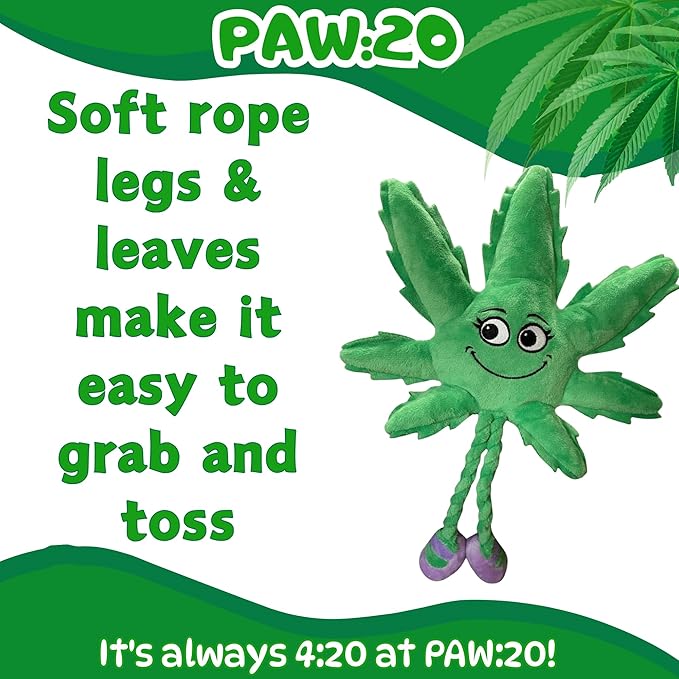 My Name is Mary Jane, Cute Stuffed Parody Marijuana Leaf Dog Toy, Funny Squeaky Weed Toy, Cool Plush Novelty 420 Gift for Puppies & Small, Medium & Large Breeds, For Fetch & a Photo Prop, Shelf-Sitter
