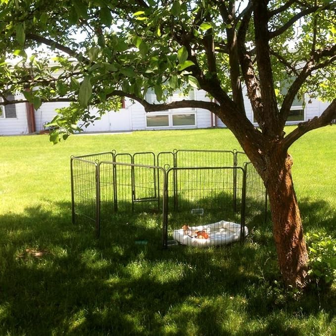 Dog Cage Dog Playpen, 8 Panels, 80 x 60 cm, Folding Fence for Puppies, Small Animals, Outdoor, Indoor