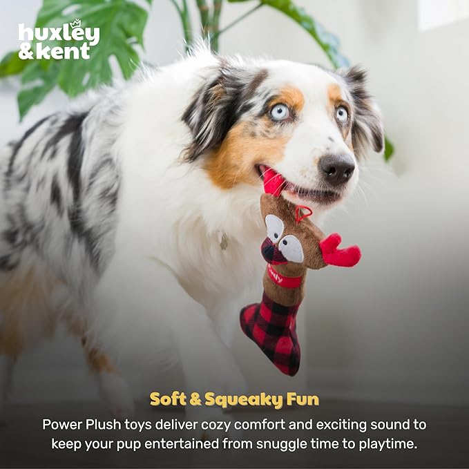 Huxley & Kent Funny Dog Toy w/Squeaker – Holiday Power Plush Squeaky Dog Toys for Small, Medium & Large Dogs – Soft Stuffed Animal for Indoor Play & Fetch - Reindeer Bone, One Size