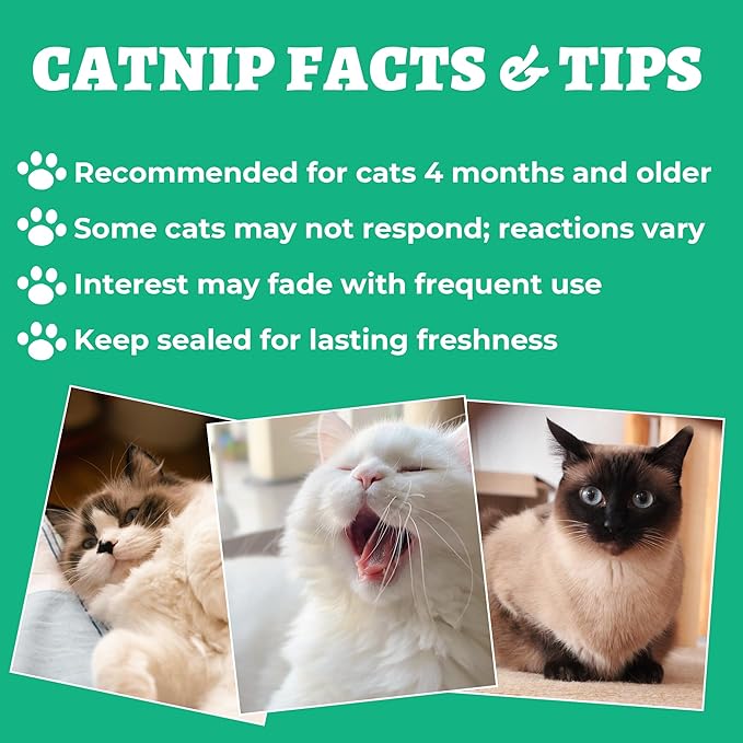 Wellix Catnip Topper & Natural Catnip for Cats & Dogs