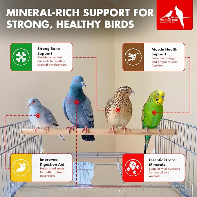 Morning Bird Pigeon Grit - Healthy & Nutritious Pigeon Food to Support Strong Muscles & Bones for Grit Eating Birds - Supports Digestion & Packed with Essential Minerals 9 lbs