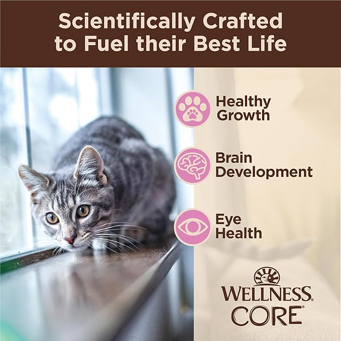 Wellness CORE Tiny Tasters Minced Kitten Wet Cat Food, Natural, Protein Rich, Grain Free, Chicken Recipe, 1.75 oz, Pack of 12 Pouches