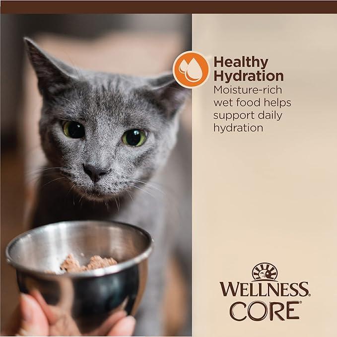 Wellness CORE Tiny Tasters Minced Adult Wet Cat Food, Natural, Protein Rich, Grain Free, Chicken Recipe, 1.75 oz, Pack of 12 Pouches