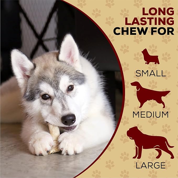 Real Hide All Natural Dog Chew Treats - Premium Rawhide Rolls, 9-10 Inch - Long Lasting Grass Fed Free Range Beef Hide for Medium/Large Dogs - 4 Count