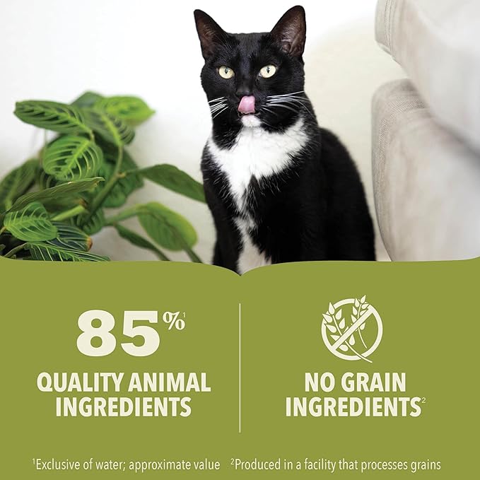 ACANA Premium Pate Kitten Wet Cat Food in Bone Broth Chicken + Tuna Recipe 5.5oz Cans (6 Count)