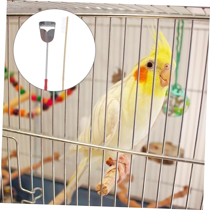 ibasenice 2pcs Bird Cage Cleaning Brush and Shovel Kit for Parrots Pet Supplies for Easy Daily Maintenance of Cages Accessories