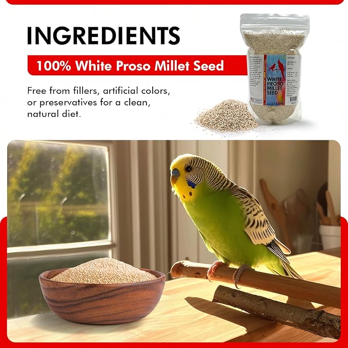 Morning Bird White Proso Millet 1.5 lbs – Unhulled Natural Bird Seed – Supports Feather Growth & Balanced Nutrition – High Energy Delicious Seed - Ideal for Finches, Parakeets & Pet Birds
