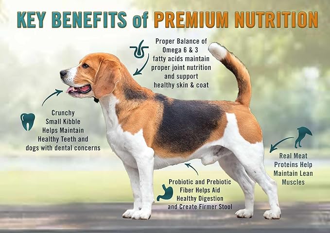 Chicken Soup for The Soul All Natural Premium Small Bites Adult Dry Dog Food, Real Meat First Ingredient, No by-Products, Supports Gut & Immune Health, Chicken, Turkey & Brown Rice, 28lb
