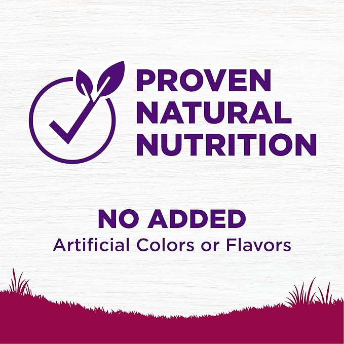 Wellness Complete Health Small Breed Adult Dry Dog Food, Wholesome Grain Kibble, Natural, Turkey and Oatmeal Recipe, 4 lb Bag