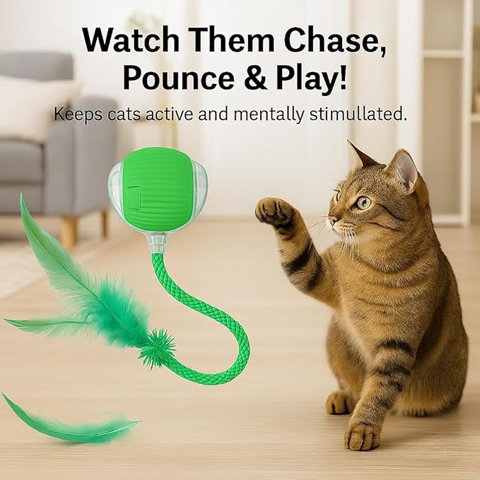 Interactive Cat Toy Ball Green – Smart Rolling Cat Ball with Feather Tail Attachment – Glowing Color Modes – Dual Speed – Automatic Cat Toy for Indoor Cats & Kittens