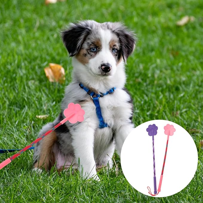 Toddmomy 2pcs Dog Training Tool Supplies Small Dog Toys Lure Stick for Dogs Targeting Stick Cat Training Clicker Toy Tools Pet Training Stick Dog Stuff Puppy Dog Trainer