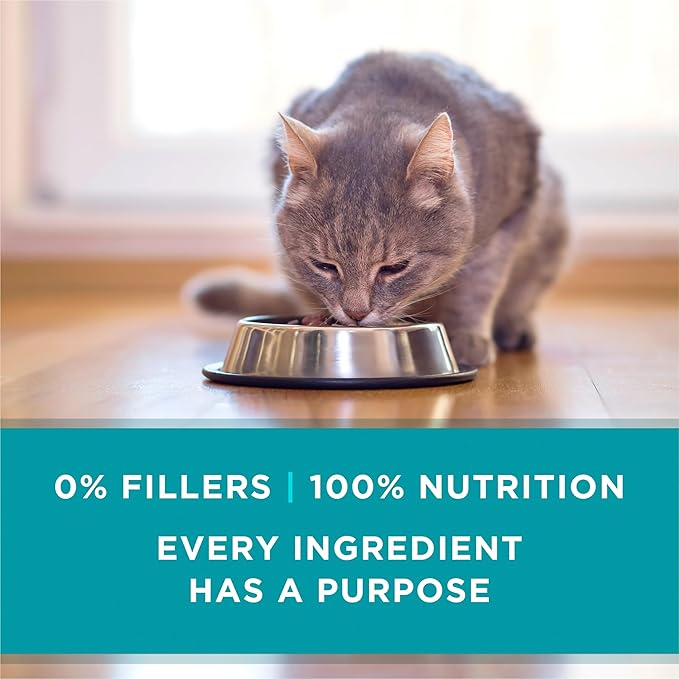 Purina ONE Natural, High Protein, Grain Free Wet Cat Food Pate, Turkey Recipe - (Pack of 48) 3 oz. Pull-Top Cans