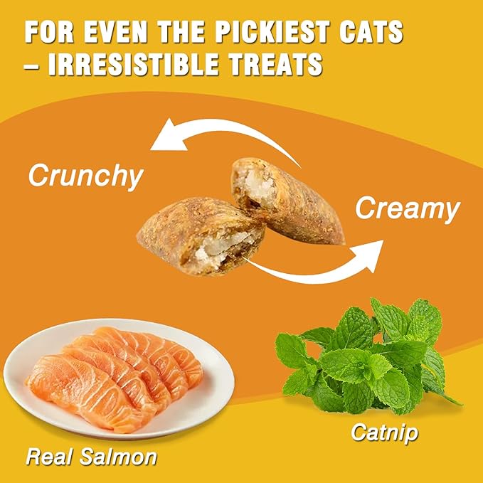 Healthy Cat Treats Soft & Crunchy - Catnip & Salmon Flavor, Cat Training Treats for Indoor Cats & Kittens, Dental Care & Digestive Support