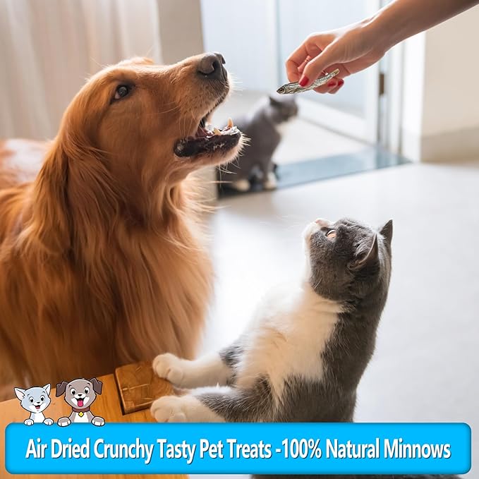 2.5 oz Natural Air-Dried Minnows for Dog and Cat Treats, 100% Natural, High-Protein Cat & Dog Treats, Single-Ingredient Fish Snacks for Training