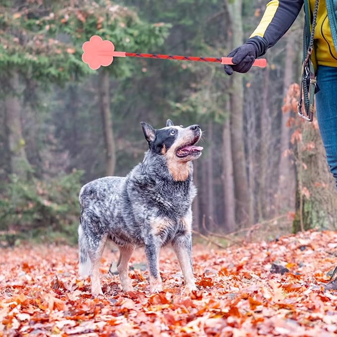 Toddmomy 2pcs Dog Training Tool Supplies Small Dog Toys Lure Stick for Dogs Targeting Stick Cat Training Clicker Toy Tools Pet Training Stick Dog Stuff Puppy Dog Trainer