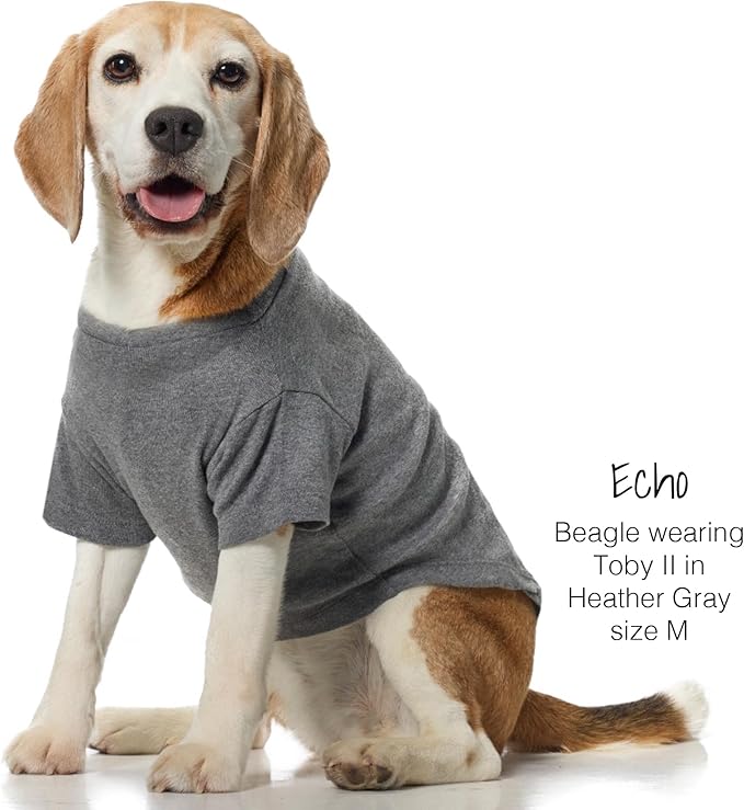 Pet Passion Toby II - The Perfect Tee, 3 Pack Short Sleeve Pet T-Shirt 100% Organic Cotton Tees Clothes for Small, Medium, Large Dogs, Gray Ombre, Large (40-60 lbs)