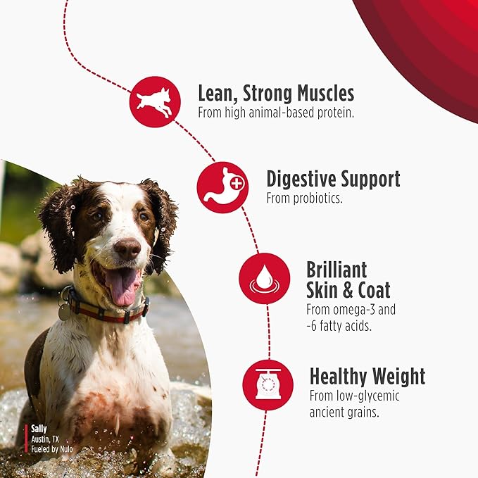 Nulo Frontrunner Dry Dog Food - Adult High-Protein Turkey, Trout & Spelt Recipe, Natural Kibble with Ancient Grains, Probiotics, Taurine, Omega 3 for Small, Medium and Large Breeds, 5lb Bag