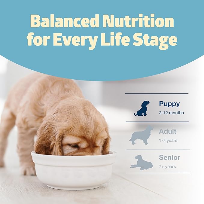 Blue Buffalo Freedom Grain-Free Puppy Dry Dog Food with DHA, Complete & Balanced Nutrition for Puppies, Made in the USA, Chicken & Potatoes, 11-lb Bag
