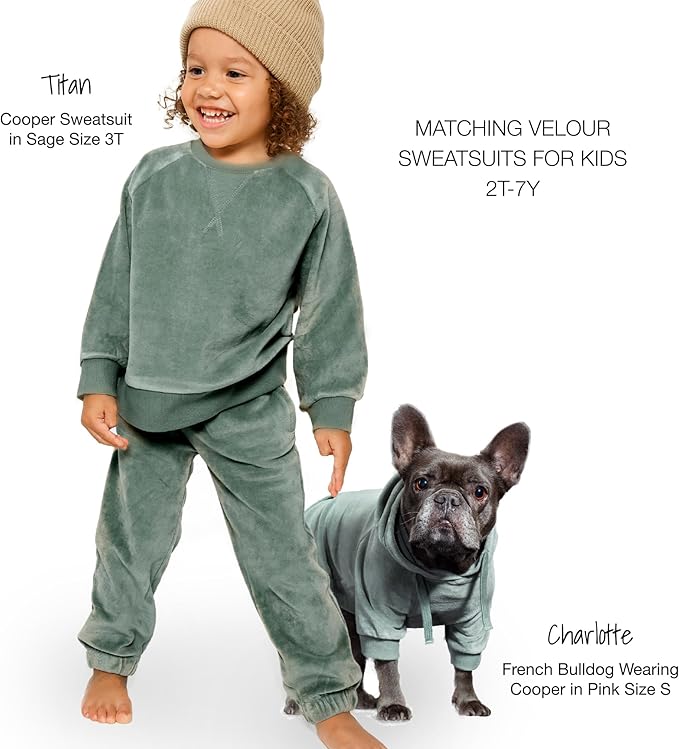 Pet Passion Cooper II Organic Cotton Velour Dog Hoodie Pet Coat for Small, Medium and Large Dogs, Sage, X-Large (55-80 lbs)