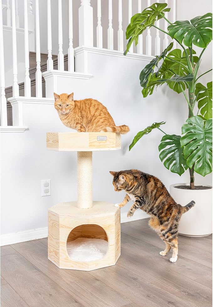 Armarkat Solid Wood Sturdy Cat Tree Condo House Furniture with Cushion S2906, Tan, 2 Levels
