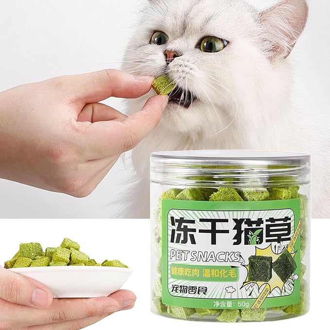 Fun and Entertaining Cat Grass Chewables Wheatgrass Perfect for Indoor Treat 50g Cat Grass Snacks Anti-Hairball Cat Grass for Indoor Cats