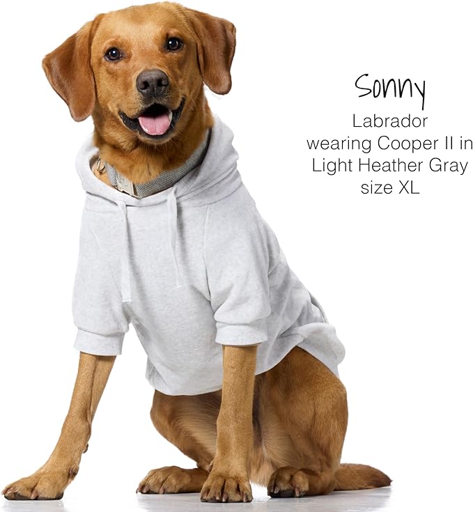 Pet Passion Cooper II Organic Cotton Velour Dog Hoodie Pet Coat for Small, Medium and Large Dogs, Light Heather Gray, XXX-Small (up to 5lbs)