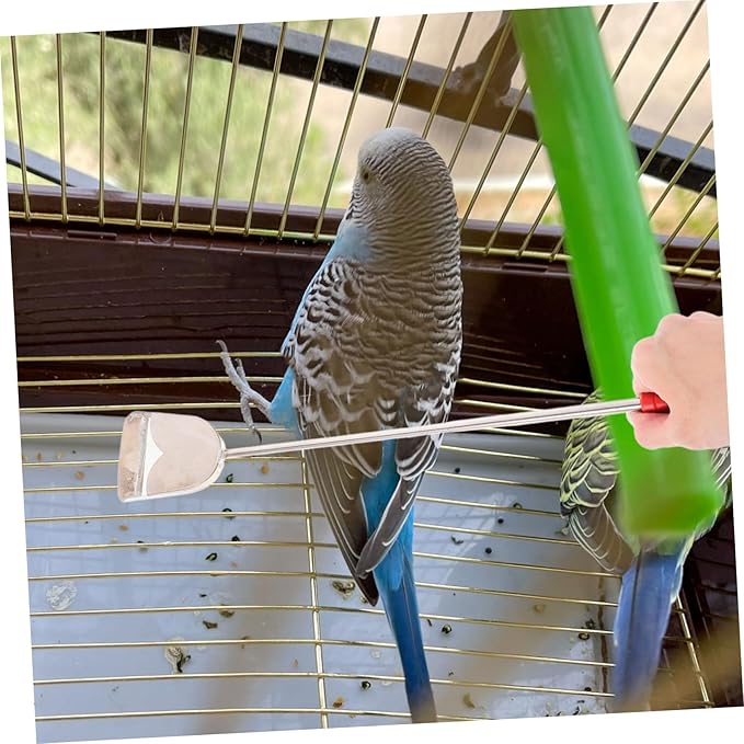 POPETPOP 2pcs Bird Cage Cleaning Brush Set Versatile Bird Poop Cleaner and Garbage Shovel for Small Animal Cages Durable and Tools for Easy Household and Pet Cleaning