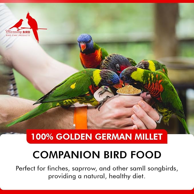 Morning Bird Golden German Millet 18 lbs (2-Pack, 9 lbs Each) – Natural Millet Seed for Birds – Natural Protein & Fiber Source – Easy-to-Digest Daily Nutrition for All Bird Types