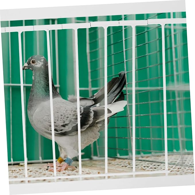 1pc Bird Door for Pigeon Cage Simple and Aesthetic Design for Entrance for Racing and Pet Birds