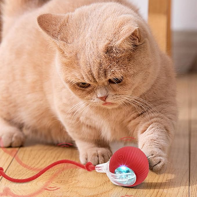 Interactive Dog Ball, Electric Cat Ball, cat Toys for Bored Indoor Adult Cats, Interactive Cat Toys for Indoor Cats, Interactive Dog Toys