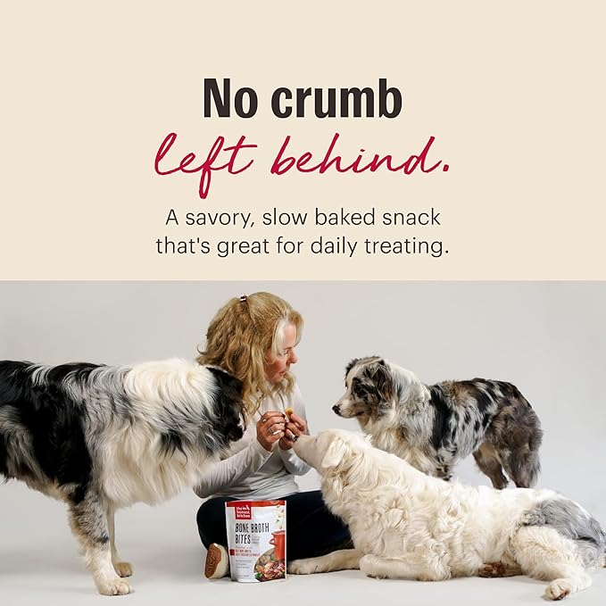 The Honest Kitchen Human Grade Dog Treats Bone Broth Bites: Roasted with Turkey Bone Broth & Pumpkin, 8 oz Bag
