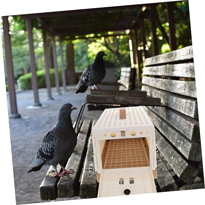 Pigeon Training Cage Foldable Plastic Pigeon Nest for Easy Cleaning and for Outdoor Use Compact Design for Convenient Storage