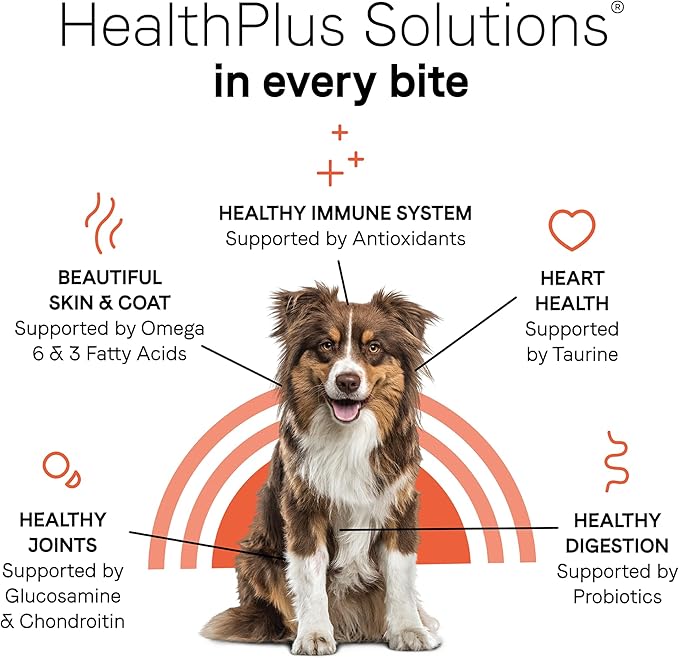Canidae Under the Sun Premium Dry Dog Food For Puppies, Adults and Senior Dogs, Chicken Recipe, 40 Pounds, Grain Free