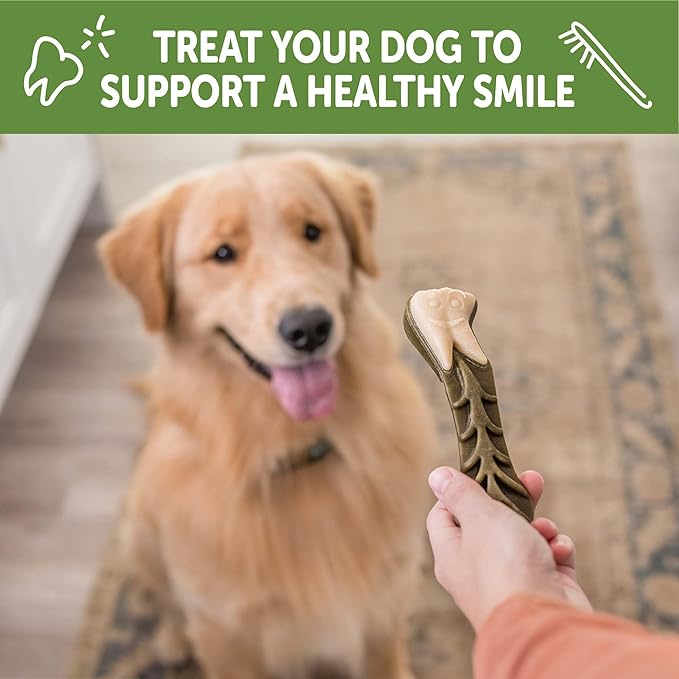 Wellness WHIMZEES Value Pack Dog Dental Treat, Chews, Freshens Breath, Extra-Large Size, 64 oz Box, 15 Count