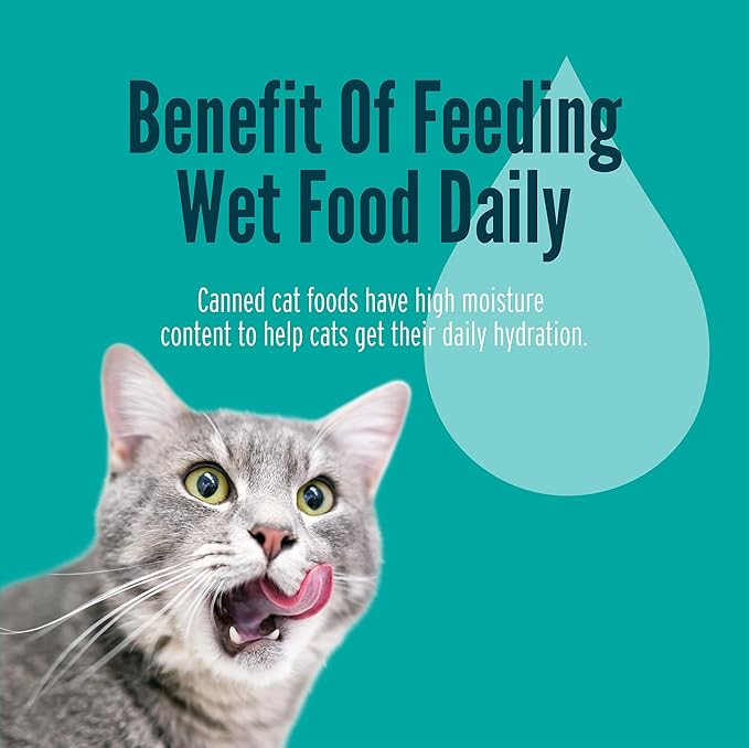 A Strong Heart Canned Wet Cat Food, Dinner Variety Pack - 5.5 oz Cans (Pack of 32), Made in The USA with Real Chicken, Turkey & Salmon