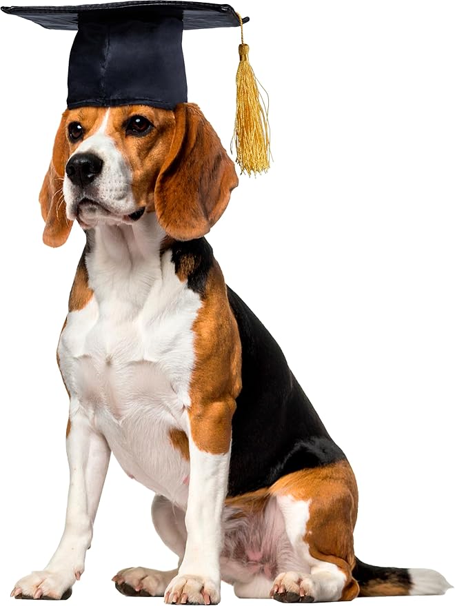 Rubies Graduate Pet Hat for Dogs or Cats, M/L