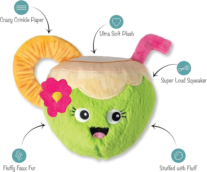 Fringe Studio COC-Nuts About You Plush Dog Toy, Pet Shop Collection (314366)